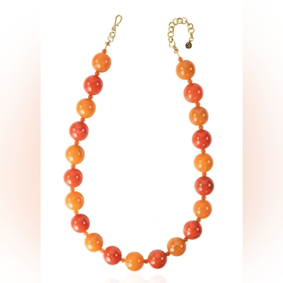 Sassy Jones Jewelry - Sassy Jones Dina long chain Bedrock necklace